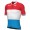 GROUPAMA-FDJ luxemburgischer Meister 2022 Radtrikot kurzarm-ALE Radsport-Profi-Team